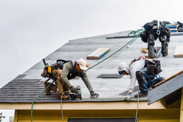 Professional Gutter Installation technician working in Walnut Grove, GA